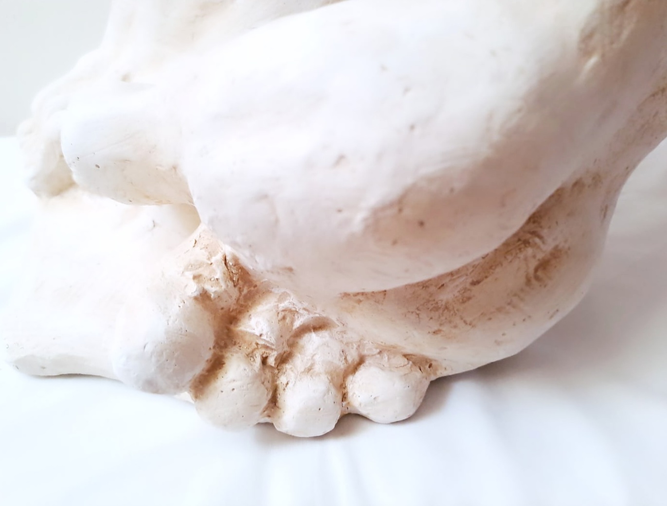 IMG_20231001_132709_599